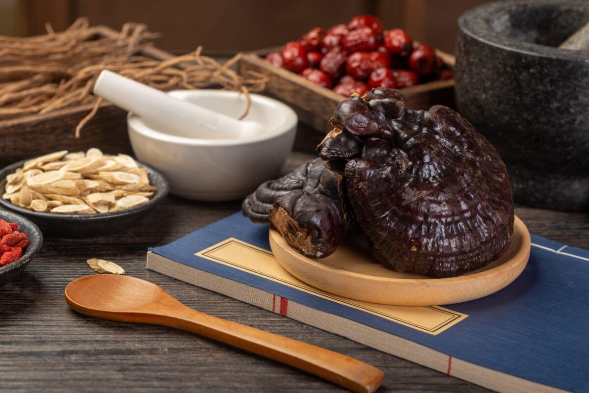 How to Incorporate Ganoderma into Your Routine