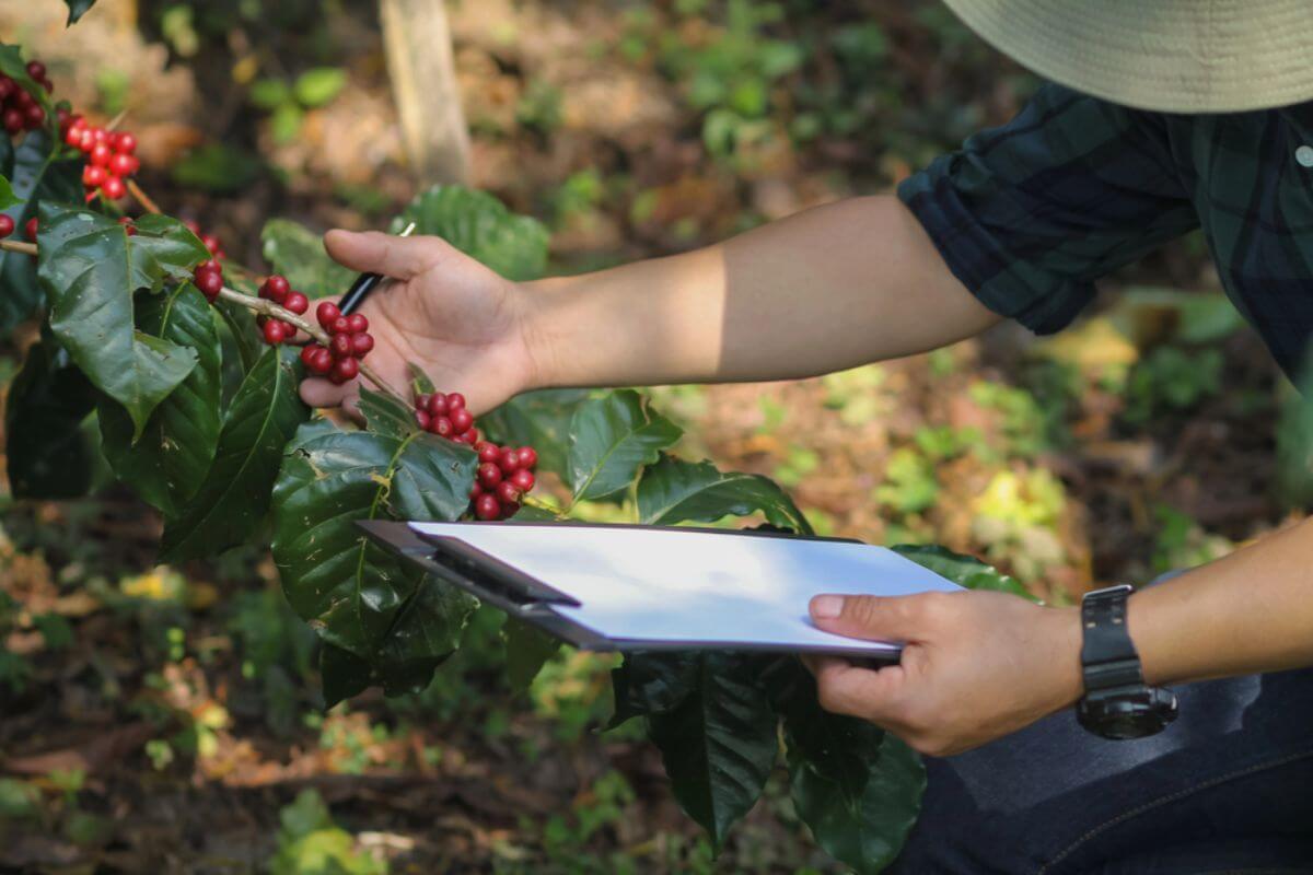 Support For Local Farmers And Ethical Sourcing