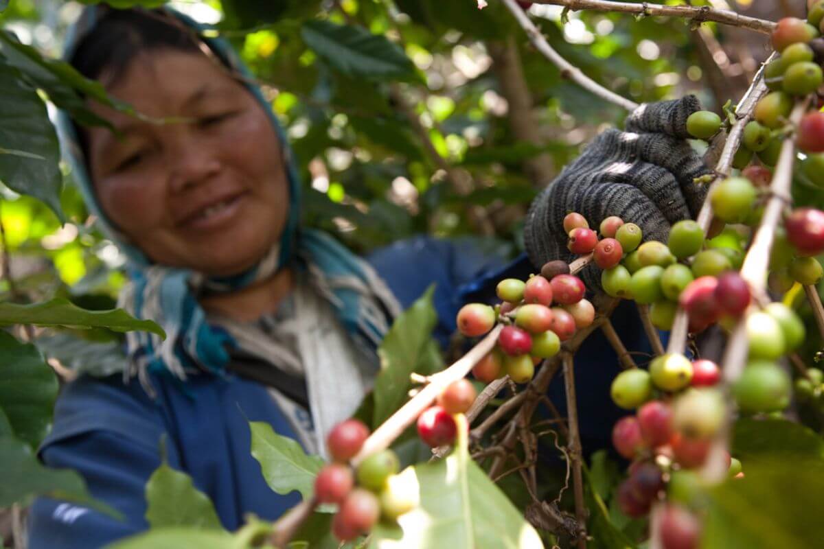 Benefiting Farmers And Communities