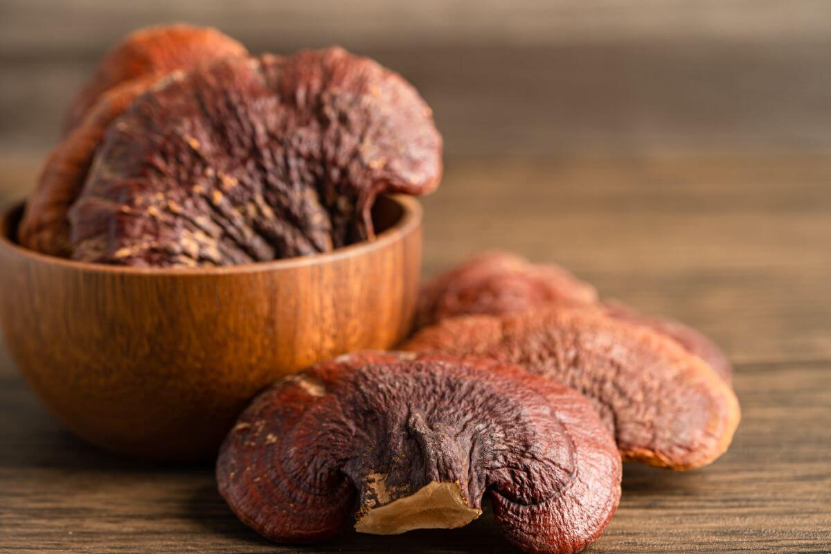 What is Ganoderma? 5 Things You Need to Know