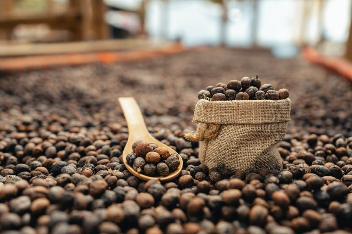 Organic Coffee vs. Instant Coffee: Which is Better for Weight Management?